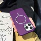 For iPhone 12 Pro Max Skin-friendly Ultra-thin MagSafe PC Phone Case(Purple) - 1