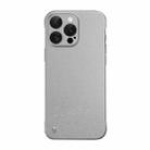 For iPhone 15 Pro Max Frameless Litchi Texture PC Phone Case(Titanium Silver) - 1