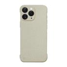 For iPhone 11 Pro Max Frameless Litchi Texture PC Phone Case(Light Yellow) - 1