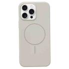 For iPhone 13 Pro Max Glossy TPU Shockproof MagSafe Phone Case(Rock Color) - 1
