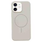 For iPhone 11 Glossy TPU Shockproof MagSafe Phone Case(Rock Color) - 1