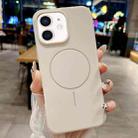 For iPhone 11 Glossy TPU Shockproof MagSafe Phone Case(Rock Color) - 2
