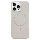 For iPhone 11 Pro Glossy MagSafe Shockproof TPU Phone Case(Rock Color) - 1