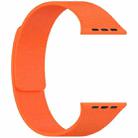 For Apple Watch 46mm / 49mm / 45mm / 44mm Litchi Texture Magnetic Silicone Watch Band(Orange) - 2