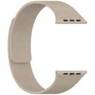 For Apple Watch 46mm / 49mm / 45mm / 44mm Litchi Texture Magnetic Silicone Watch Band(Stone Color) - 2