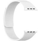 For Apple Watch 42mm / 41mm / 40mm / 38mm Litchi Texture Magnetic Silicone Watch Band(White) - 3