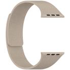 For Apple Watch 42mm / 41mm / 40mm / 38mm Litchi Texture Magnetic Silicone Watch Band(Stone Color) - 3