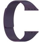 For Apple Watch 42mm / 41mm / 40mm / 38mm Litchi Texture Magnetic Silicone Watch Band(New Plum) - 3