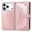 For iPhone 17 Pro Mandala Flower Embossed Leather Phone Case(Rose Gold) - 2