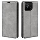 For Asus ROG Phone 9 / 9 Pro Retro-skin Magnetic Suction Leather Phone Case(Grey) - 1