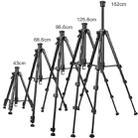 YUNTENG VCT-6680 Travel Tripod Telescopic 152CM Camera Mount Phone Tripod - 3