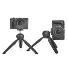 YUNTENG YT-228N 1 / 4 Screw Interface Phone SLR Camera Holder Portable Mini Selfie Stick Tripod - 2