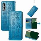 For Fujitsu Arrows We2 / F-52E Cat and Dog Embossed Leather Phone Case(Blue) - 1