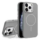 For iPhone 11 Pro Max Organic Silicone Lens Holder MagSafe Phone Case(Grey) - 1