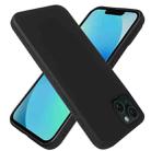 For iPhone 13 RCS Single-sided Frosted TPU Phone Case(Black) - 2