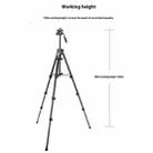 YUNTENG VCT-6828RM Selfie Live Streaming Photography Bracket Camera Phone Tripod Stand - 2