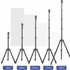 YUNTENG VCT-5228 Photography Live Streaming Aluminum Alloy Extendable Tripod - 2