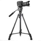 YUNTENG VCT-391RM Portable Live Streaming Stand for Sony JVC Canon Camera Tripod - 1