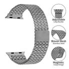 For Apple Watch 42mm / 41mm / 40mm / 38mm Nine-Bead Magnetic Loop Steel Watch Band(Titanium color) - 2