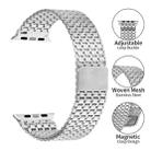 For Apple Watch 46mm / 49mm / 45mm / 44mm Nine-Bead Magnetic Loop Steel Watch Band(Silver) - 2
