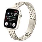 For Apple Watch 42mm / 41mm / 40mm / 38mm Small Waist Slingshot Buckle Steel Watch Band(Starlight) - 1
