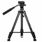 YUNTENG VCT-60 Retractable Tripod Stand For Smartphones DSLR Mirrorless Cameras - 2