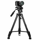 YUNTENG VCT-60 Retractable Tripod Stand For Smartphones DSLR Mirrorless Cameras - 3