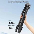 YUNTENG VCT-669 For Live Streaming Video Recording Camera Tripod Smartphone Selfie Mount - 5