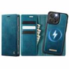 For iPhone 16 Pro CaseMe C49 MagSafe RFID Blocking Detachable Wallet Leather Phone Case(Green) - 1
