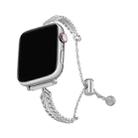 For Apple Watch 46mm / 49mm / 45mm / 44mm Metal Feather Copper Zinc Alloy Watch Band(Silver) - 1