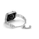 For Apple Watch 42mm / 41mm / 40mm / 38mm Double Ring Chain Zinc Alloy Watch Band(Silver) - 2