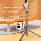 P100TK For Outdoor Photography Selfie Stick 360 Degree Rotation Anti Shake Phone Tripod Stand - 3