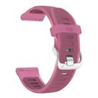 20mm Silver Steel Buckle Translucent Color Silicone Watch Band(Red) - 3