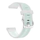 22mm Silver Steel Buckle Translucent Color Silicone Watch Band(White) - 3