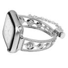 For Apple Watch 46mm / 49mm / 45mm / 44mm Platinum Star Zirconium Metal Watch Band(Silver) - 1