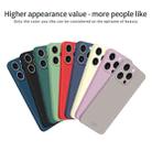 For iPhone 13 Pro Max MOFI Caring Soft Shell Liquid Silicone Skin Feel Phone Case(Black) - 2