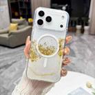 For iPhone 17 Pro Max Gilding MagSafe Hybrid Clear TPU Phone Case(White) - 1