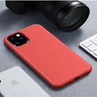 For iPhone 11 Pro Max Starry Series Shockproof Straw Material + TPU Protective Case  (Red) - 1