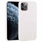 For iPhone 11 Pro Max Starry Series Shockproof Straw Material + TPU Protective Case  (Starlight) - 1