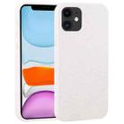 For iPhone 11 Starry Series Shockproof Straw Material + TPU Protective Case  (Starlight) - 1