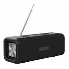 T9 Wireless Bluetooth 4.2 Speaker 10W Portable Sound Box FM Digital Radio 3D Surround Stereo, Support Handsfree & TF & AUX(Black) - 1