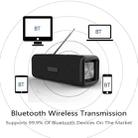 T9 Wireless Bluetooth 4.2 Speaker 10W Portable Sound Box FM Digital Radio 3D Surround Stereo, Support Handsfree & TF & AUX(Black) - 6