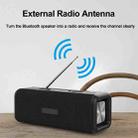 T9 Wireless Bluetooth 4.2 Speaker 10W Portable Sound Box FM Digital Radio 3D Surround Stereo, Support Handsfree & TF & AUX(Black) - 7