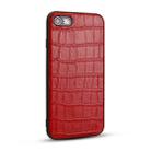 For iPhone SE 2022 / SE 2020 / 8 / 7 Crocodile Pattern TPU Shatter-resistant Mobile Phone Case(Red) - 1