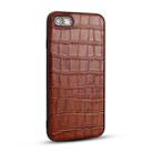 For  iPhone 8 Plus / 7 Plus Crocodile Pattern TPU Shatter-resistant Mobile Phone Case(Brown) - 1