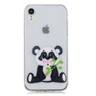 For iPhone XR 3D Pattern Transparent TPU Case(Bamboo Bear) - 2