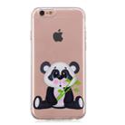 For iPhone SE 2022 / SE 2020 / 8 / 7 3D Pattern Transparent TPU Case(Bamboo Bear) - 2