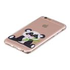 For iPhone SE 2022 / SE 2020 / 8 / 7 3D Pattern Transparent TPU Case(Bamboo Bear) - 3