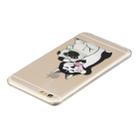 For iPhone 6 Plus 3D Pattern Transparent TPU Case(Self-portrait Dog) - 4