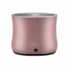 EWA A2 Pro Metal Speaker Outdoor Waterproof Bluetooth Sound Bass Speaker(Rose Gold) - 1